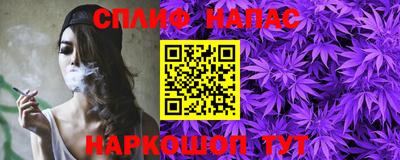 МДПВ Дмитров