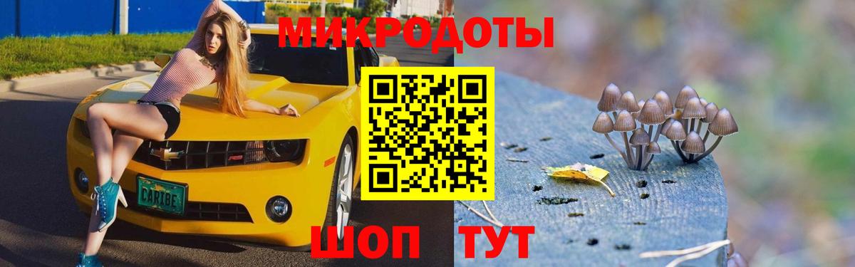 Галлюциногенные грибы GOLDEN TEACHER  Вход с VPN  Ессентуки 